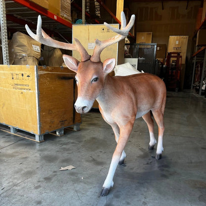 Deer Young Buck Life Size Statue