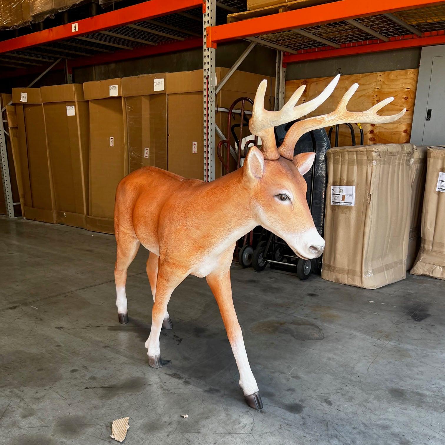 Deer Young Buck Life Size Statue - LM Treasures Prop Rentals 