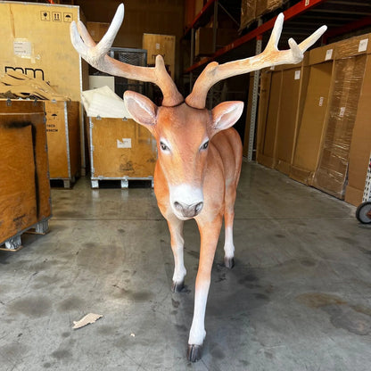 Deer Young Buck Life Size Statue