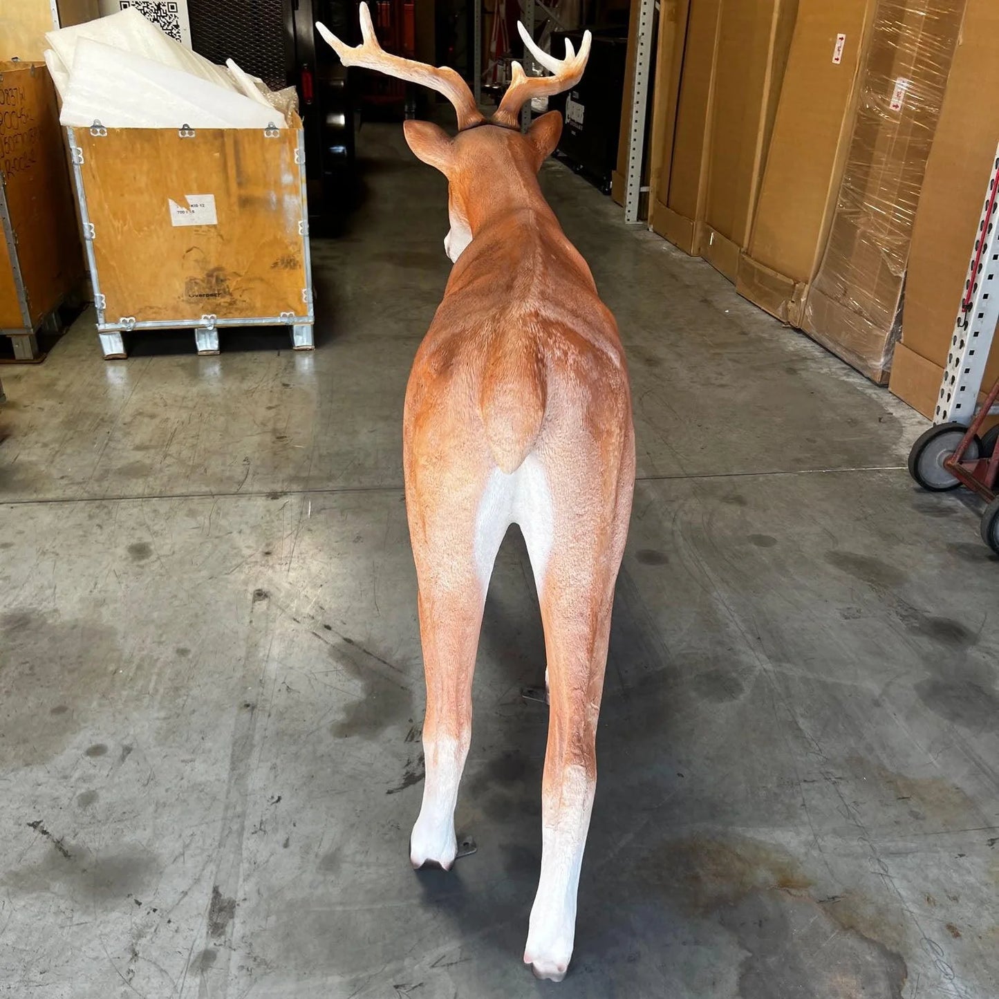 Deer Young Buck Life Size Statue