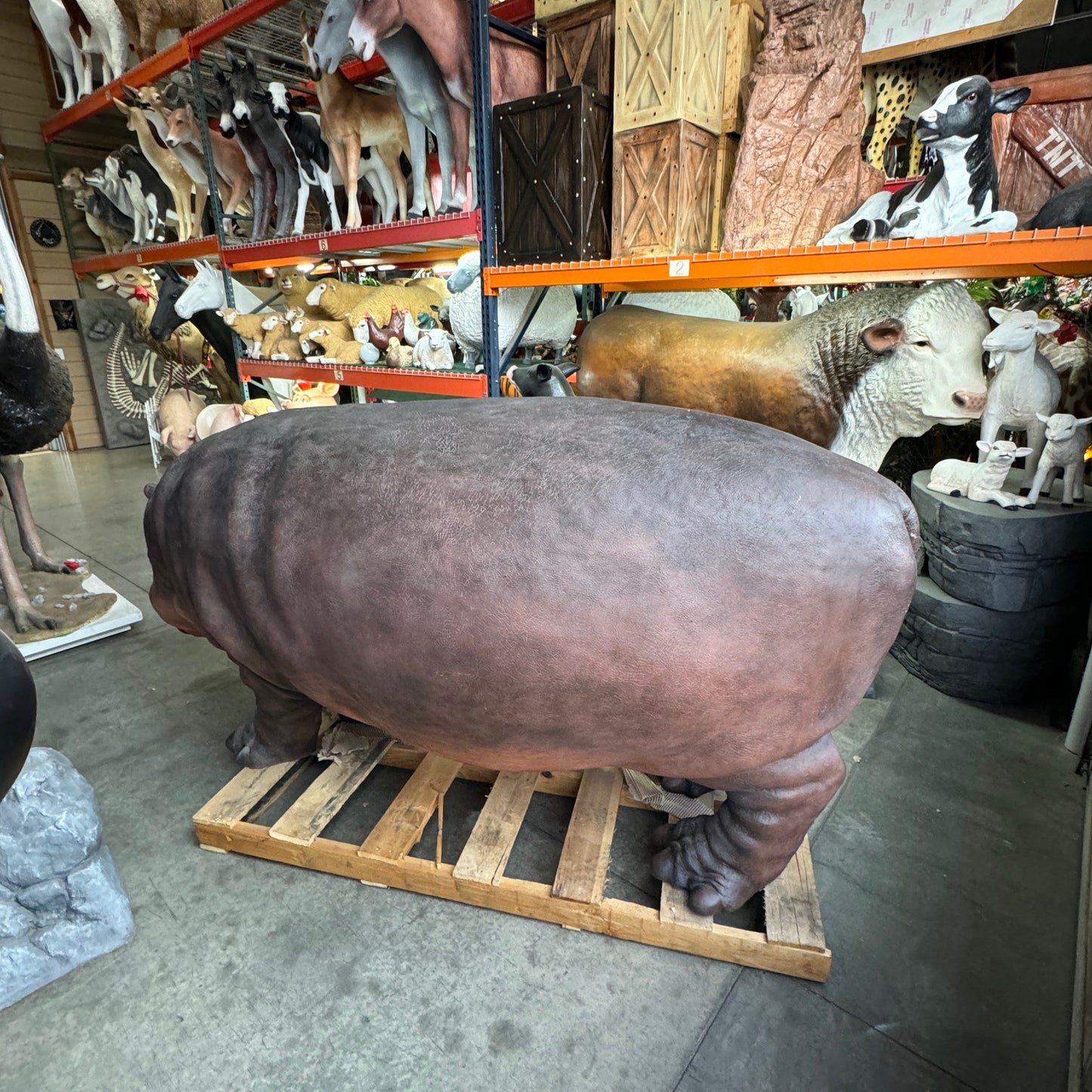 Gray Hippo Life Size Statue