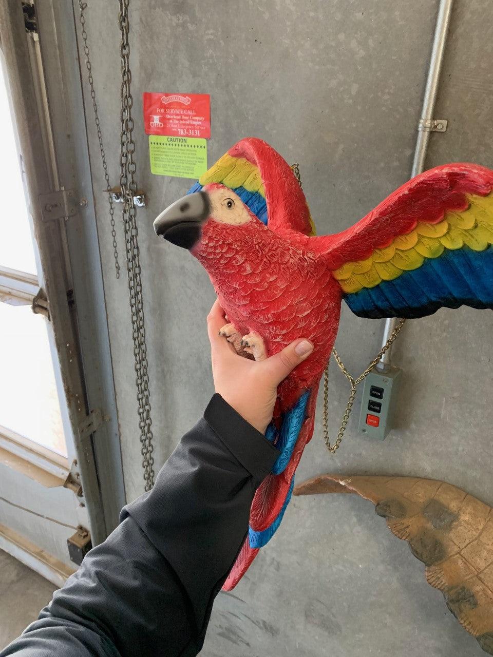 Rainbow Flying Parrot Statue