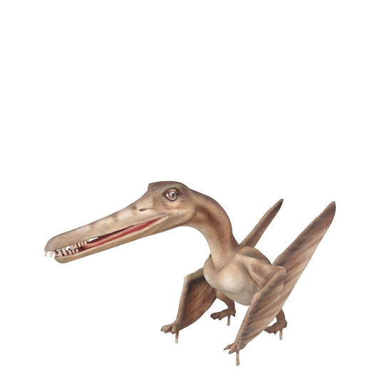 Baby Cearadactylus Bird Dinosaur Statue