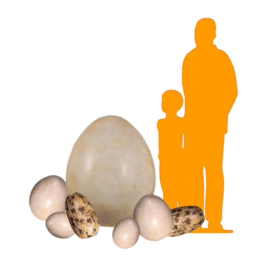 Dinosaur Egg Set