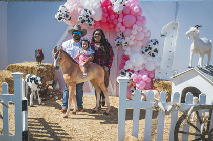 Baby Foal Pony Horse Walking Statue