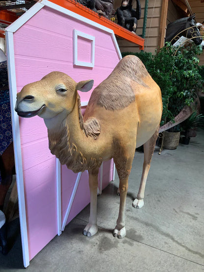 Dromedary Camel Life Size Statue