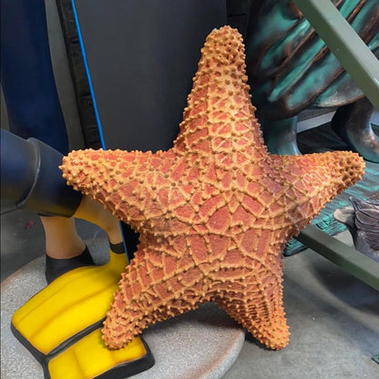 Cushion Starfish Statue