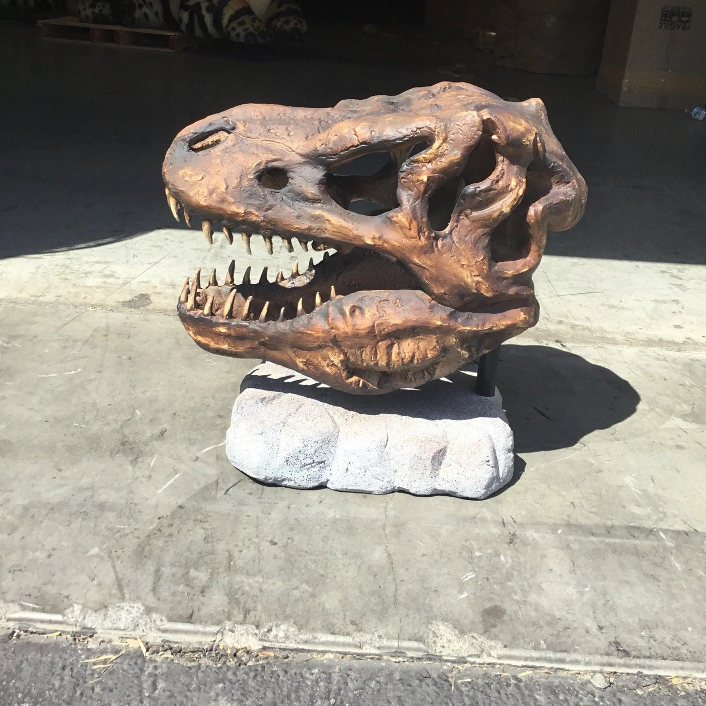 Large T-Rex Skull Statue