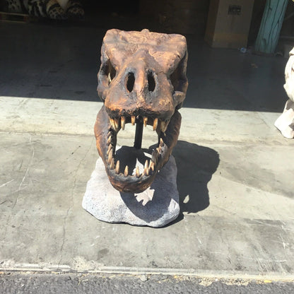 Large T-Rex Skull Statue