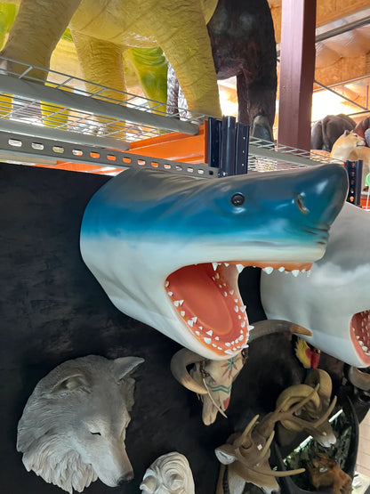 Blue Shark Head Statue