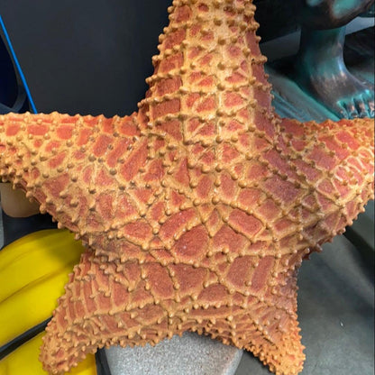 Cushion Starfish Statue