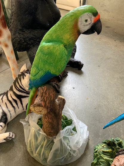 Green Macaw Parrot On Branch Statue