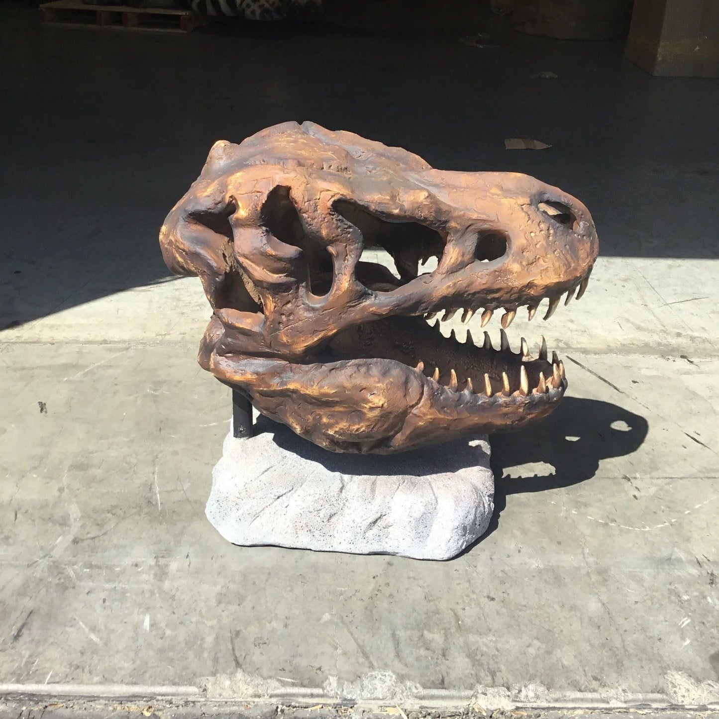 Large T-Rex Skull Statue