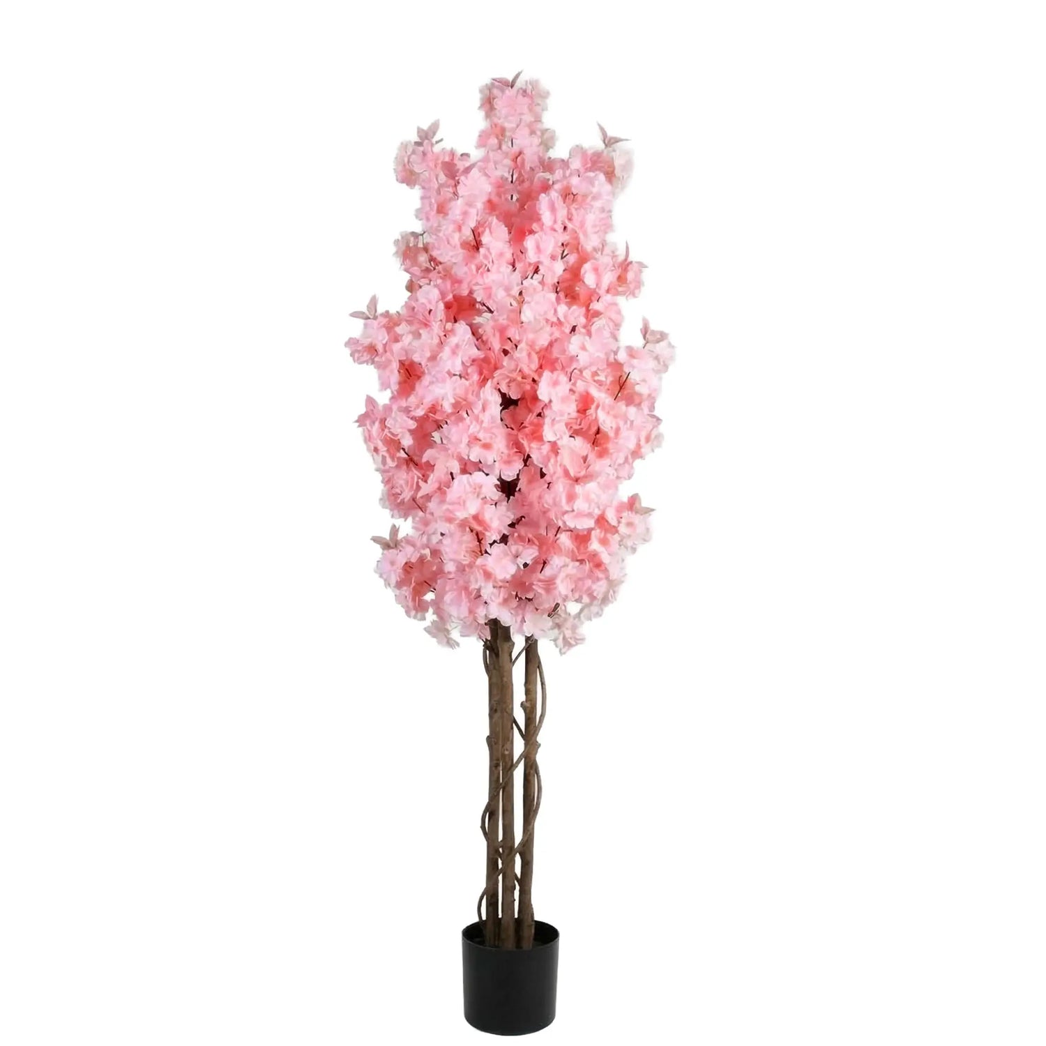 Pink Cherry Tree CHERRYW-P