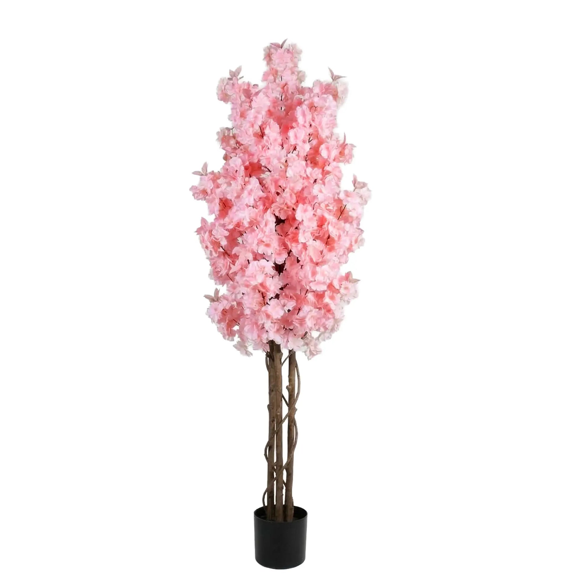 Pink Cherry Tree CHERRYW-P