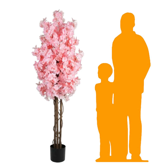 Pink Cherry Tree CHERRYW-P