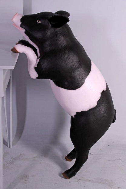Curious Black And Pink Pig Statue - LM Treasures Prop Rentals 