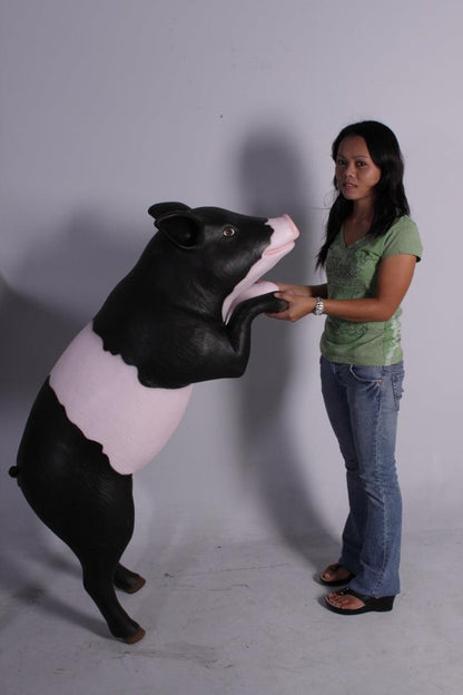 Curious Black And Pink Pig Statue