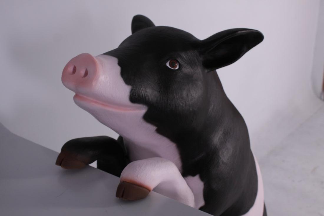 Curious Black And Pink Pig Statue