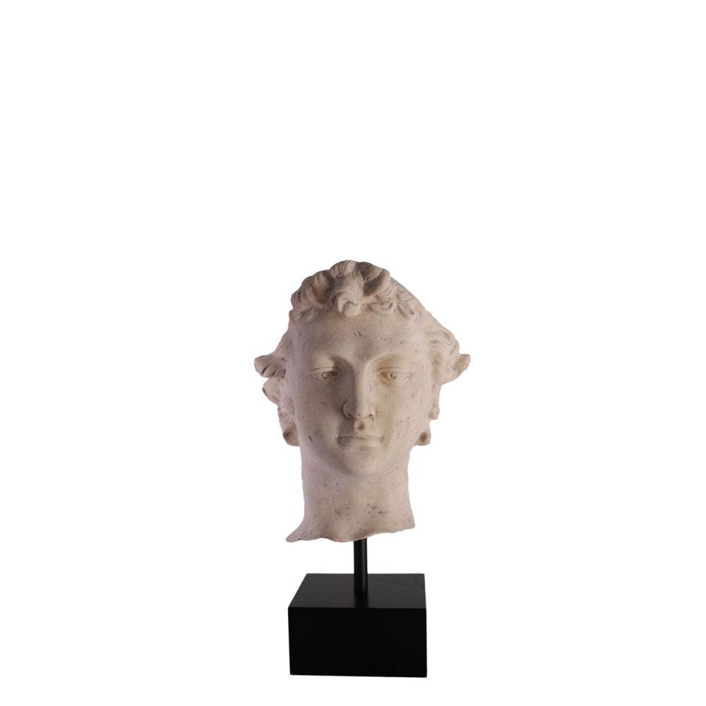Stone David Head Statue - LM Treasures Prop Rentals 