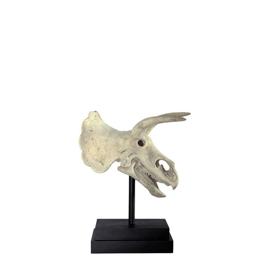 Triceratops Dinosaur Skull Statue - LM Treasures Prop Rentals 