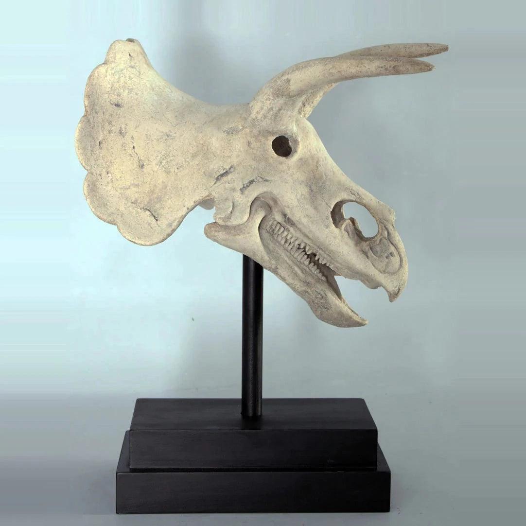 Triceratops Dinosaur Skull Statue