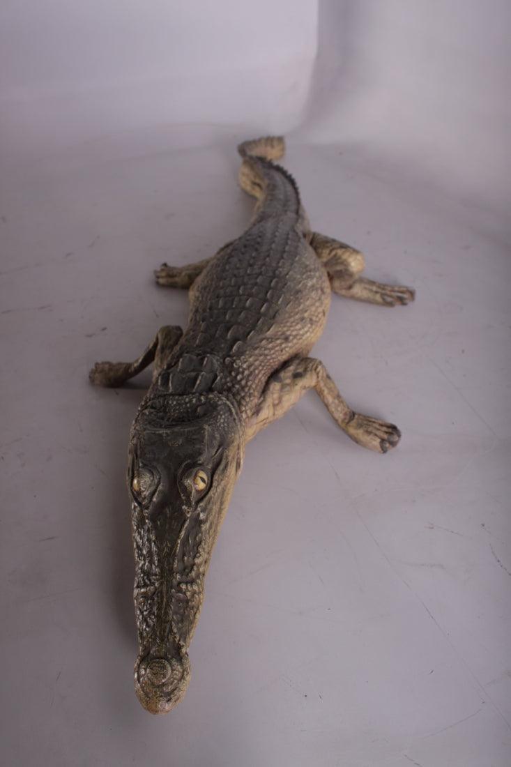 Resting Crocodile Life Size Statue - LM Treasures Prop Rentals 