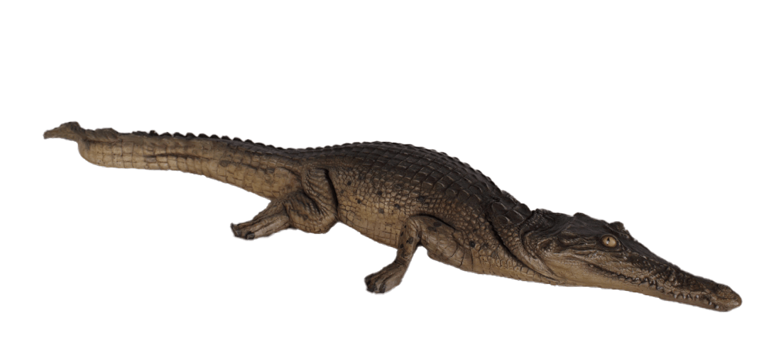 Resting Crocodile Life Size Statue - LM Treasures Prop Rentals 