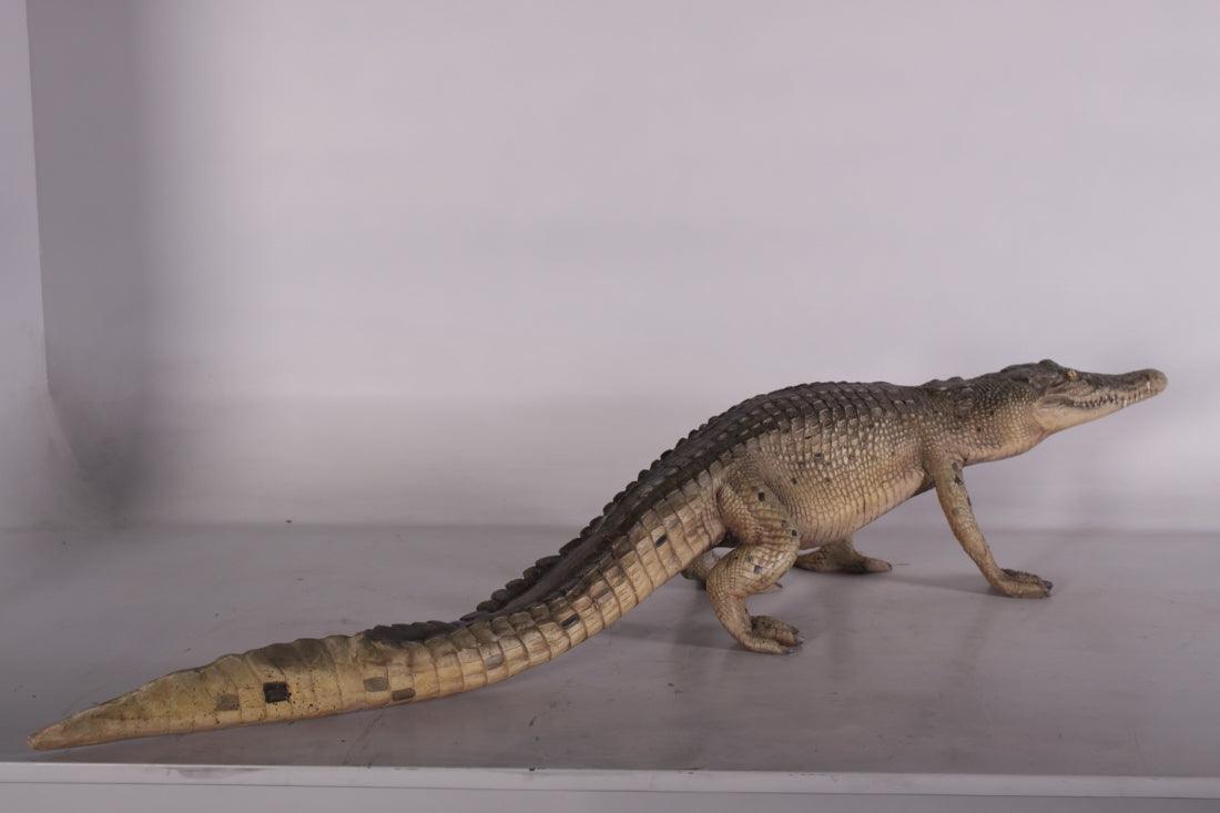 Walking Baby Crocodile Life Size Statue - LM Treasures Prop Rentals 