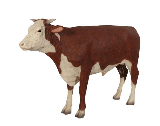 Hereford Steer Cow Life Size Statue - LM Treasures Prop Rentals 