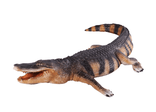 Alligator Reptile Life Size Statue Prop