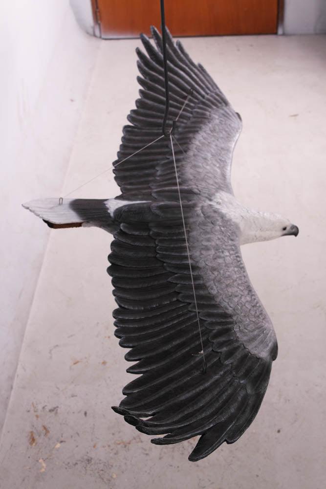 Flying White Breasted Eagle Statue
