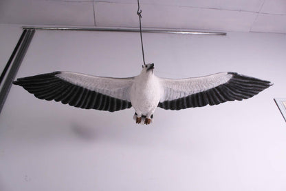 Flying White Breasted Eagle Statue - LM Treasures Prop Rentals 