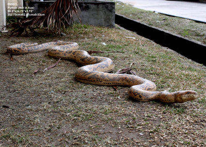 Python Snake Life Size Statue - LM Treasures Prop Rentals 