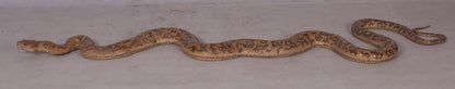 Python Snake Life Size Statue - LM Treasures Prop Rentals 