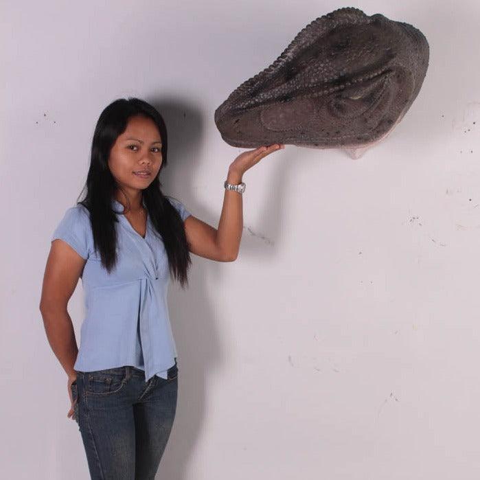 Turned Allosaurus Head Dinosaur Statue - LM Treasures Prop Rentals 