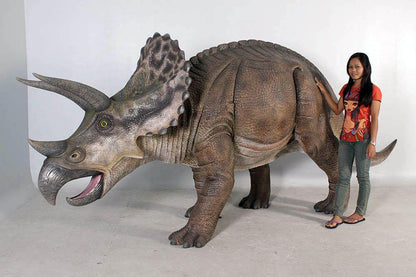 Large Brown Triceratops Dinosaur Life Size Statue