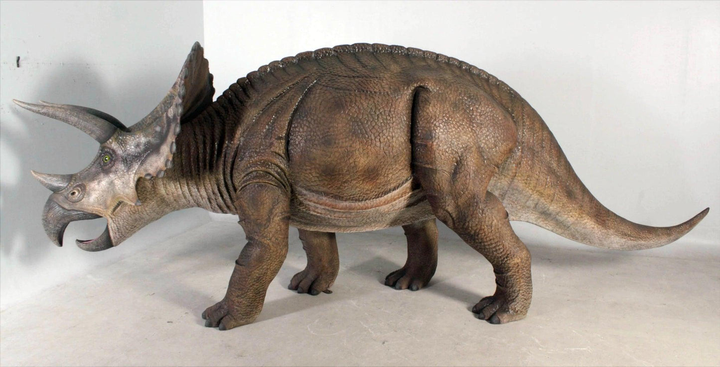 Large Brown Triceratops Dinosaur Life Size Statue