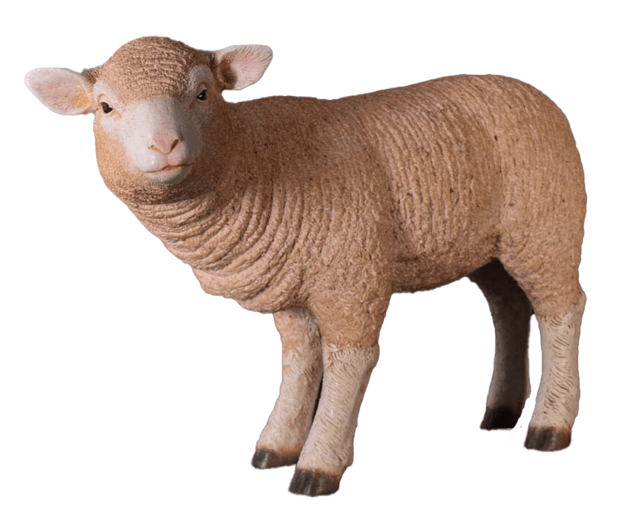 Merino Baby Lamb Statue - LM Treasures Prop Rentals 