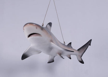 Black Tip Shark Statue - LM Treasures Prop Rentals 