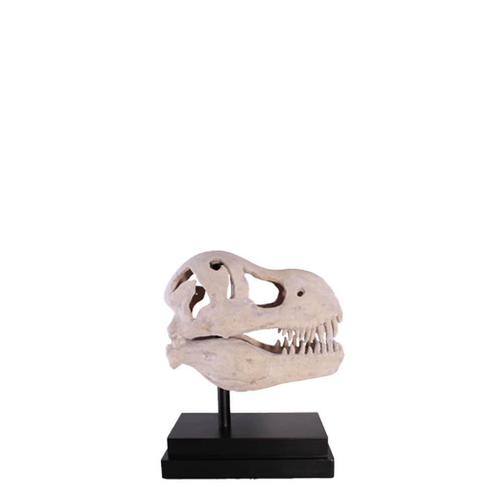 T-Rex Dinosaur Skull Statue - LM Treasures Prop Rentals 