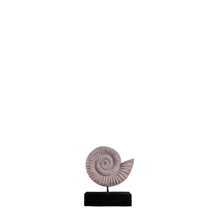 Spiral Fossil Shell Statue - LM Treasures Prop Rentals 