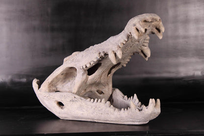 Skeleton Crocodile Head Life Size Statue