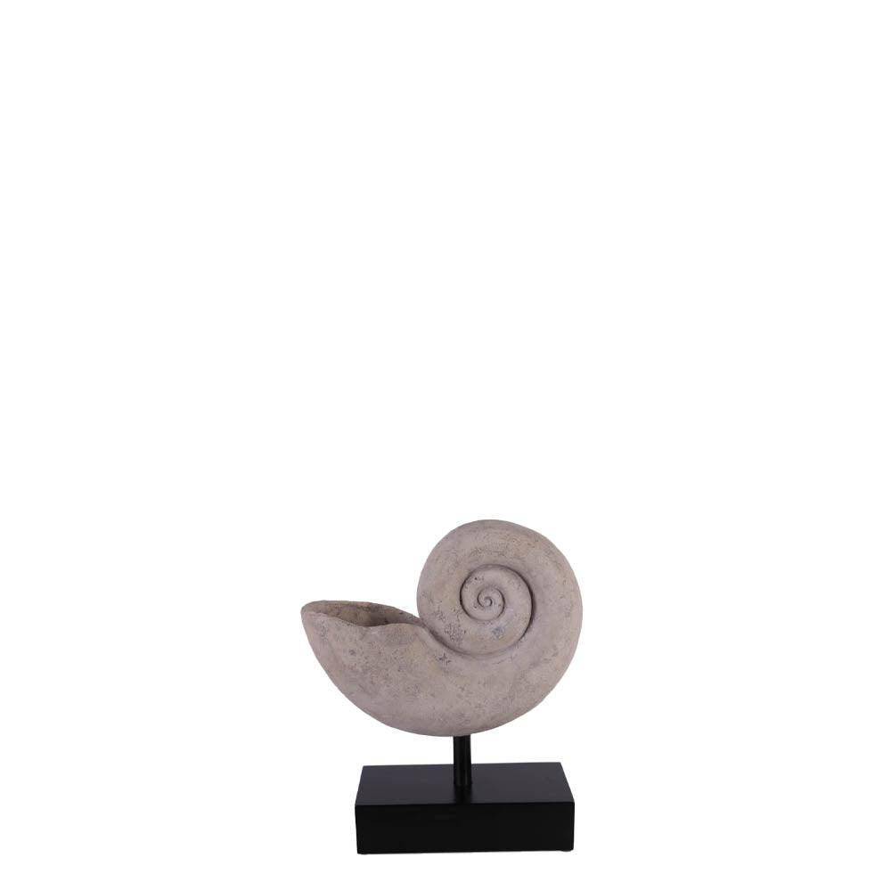 Nautilus Fossil Shell Statue