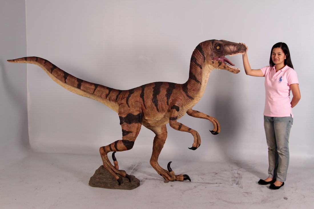 Brown Velociraptor Dinosaur Life Size Statue