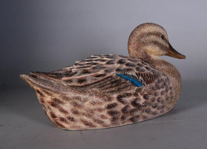 Female Mallard Duck Statue - LM Treasures Prop Rentals 