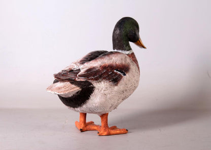 Male Mallard Duck Statue - LM Treasures Prop Rentals 