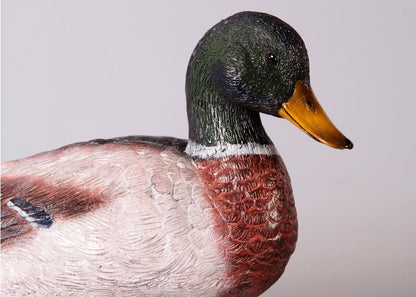 Male Mallard Duck Statue - LM Treasures Prop Rentals 