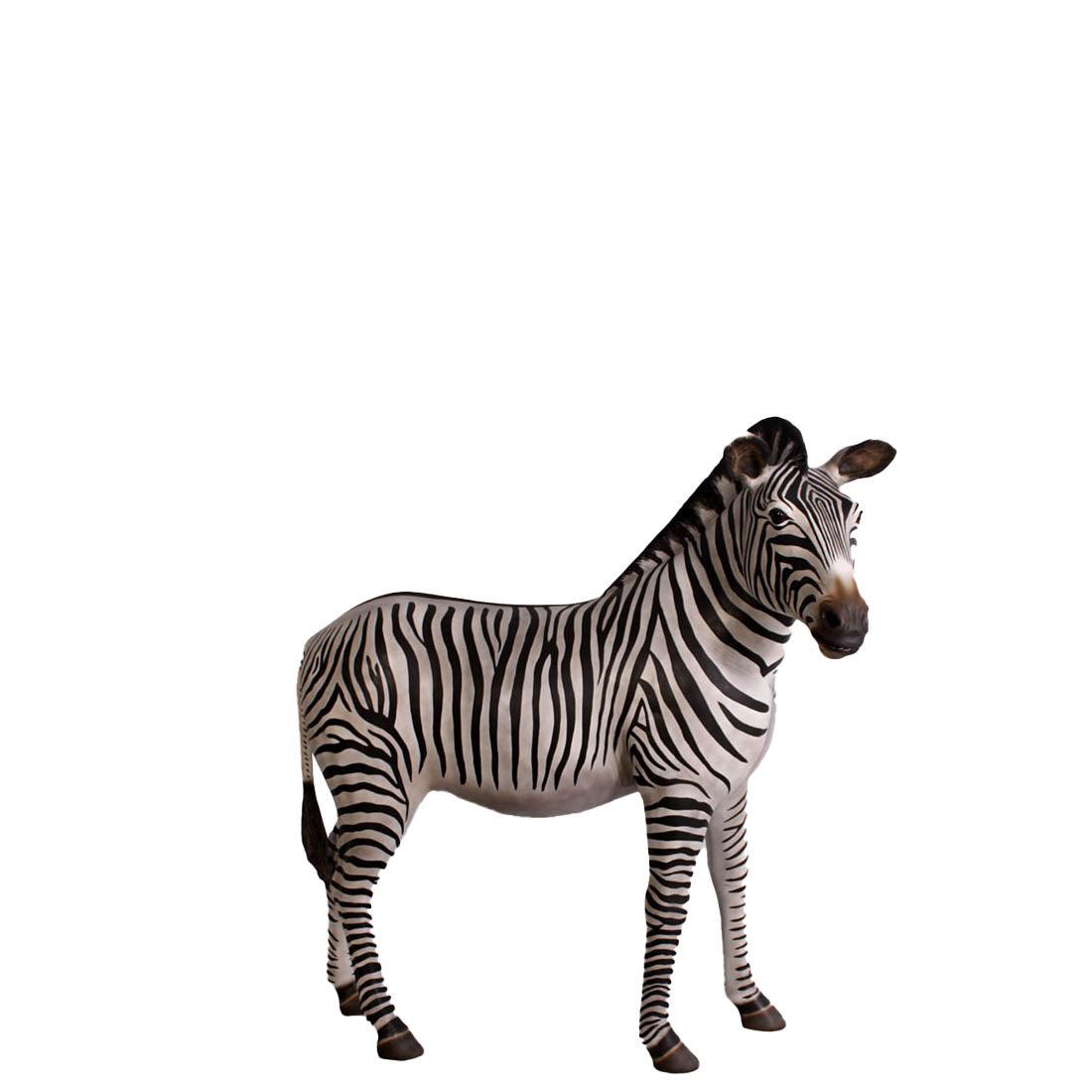 Zebra Life Size Statue - LM Treasures Prop Rentals 