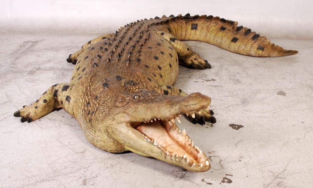 Crocodile Mouth Open Life Size Statue - LM Treasures Prop Rentals 